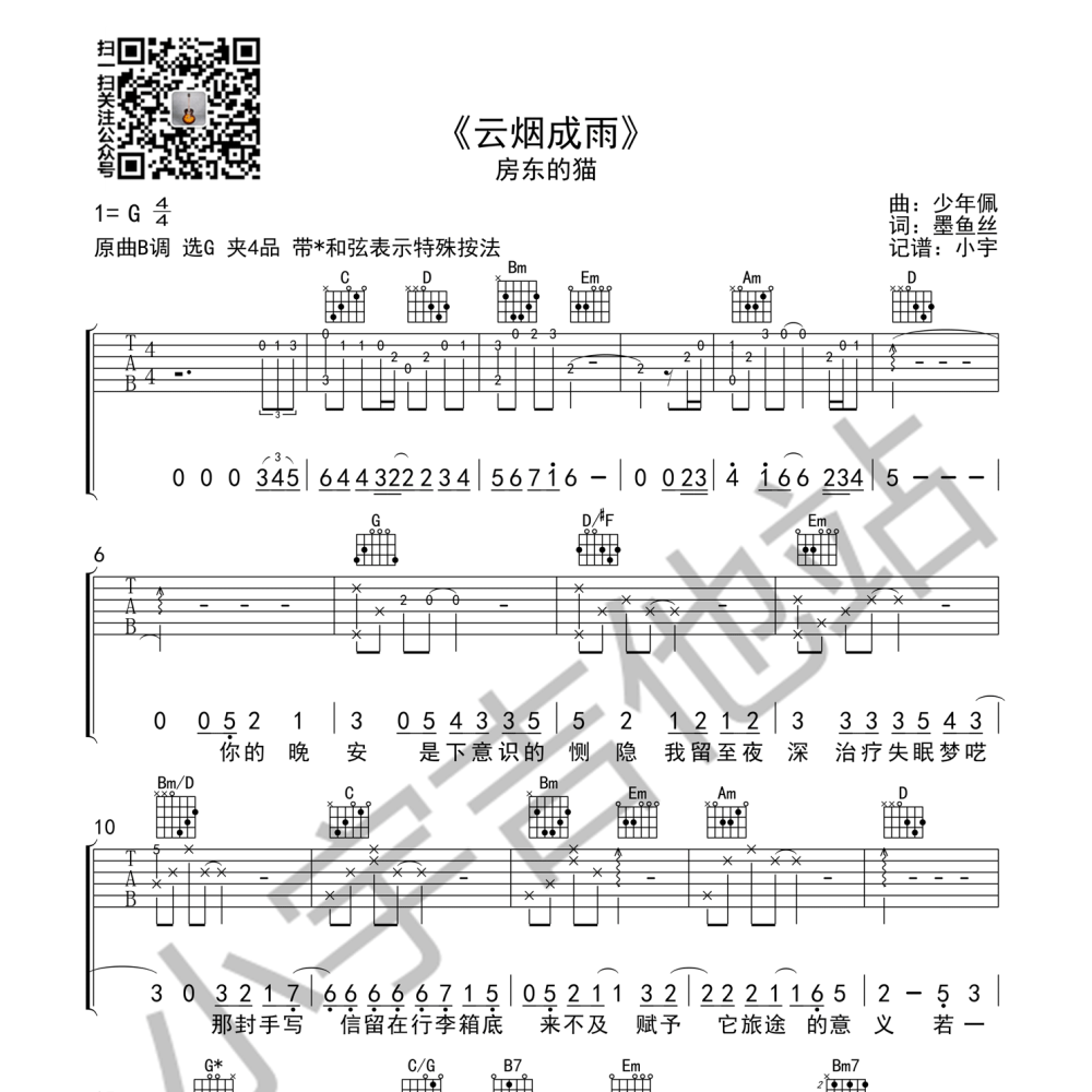 云烟成雨 -房东的猫
